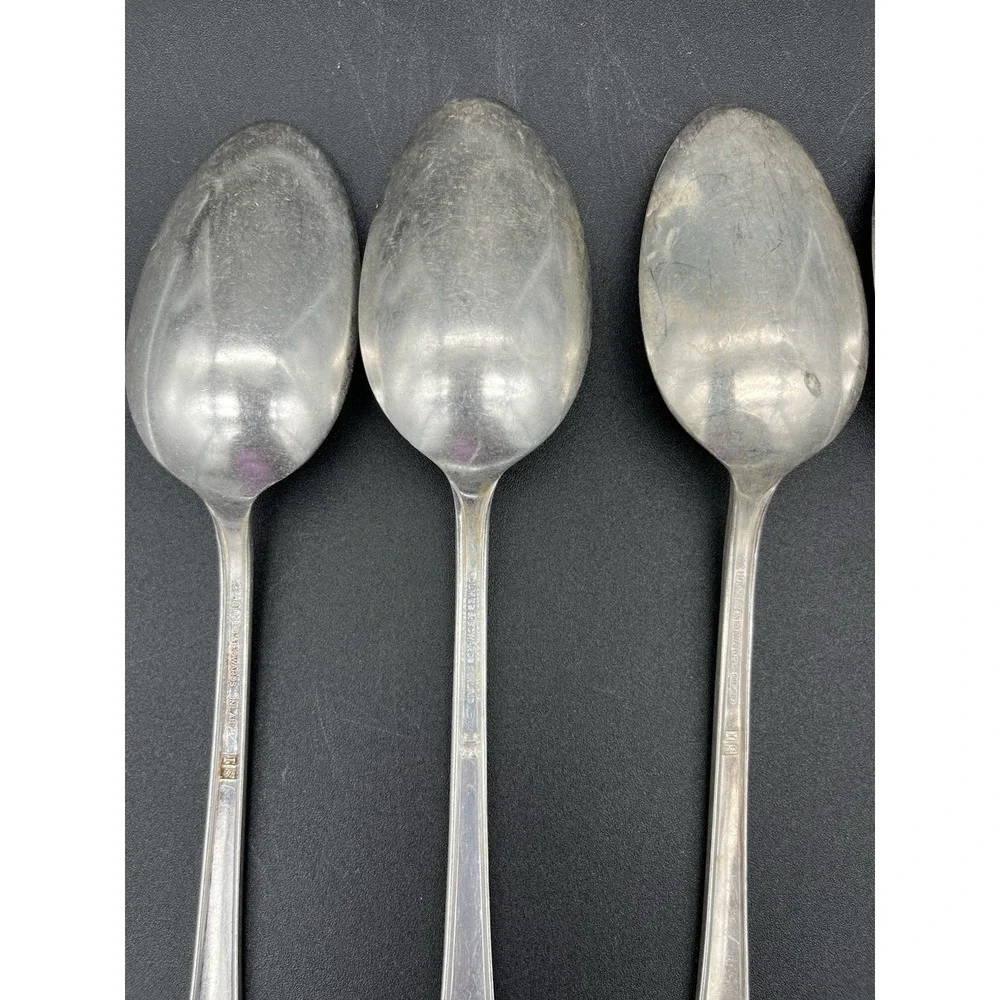 Silver Plate Tablespoon/Serving Spoon Set Of 6 Spring Garden International